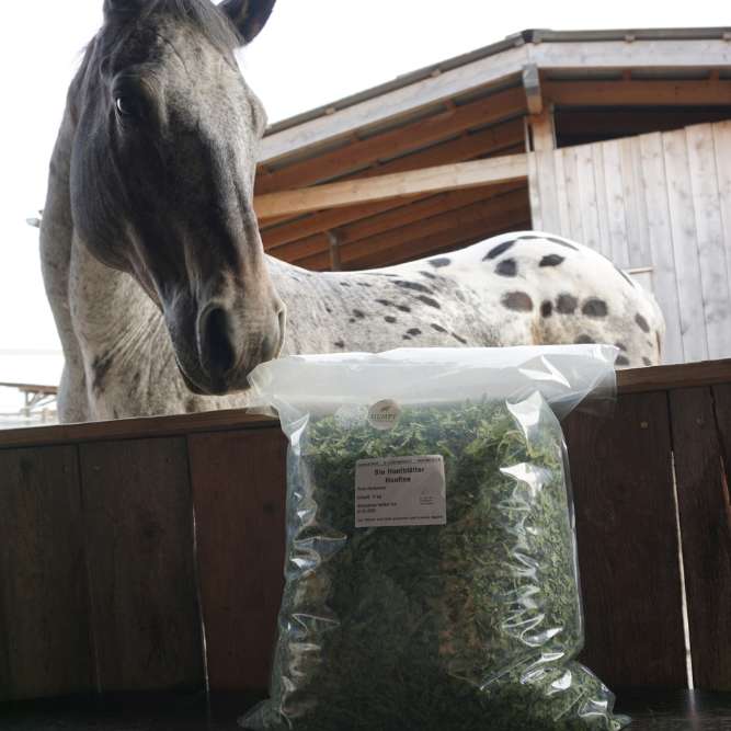 Bio Hanfblätter Bio Hanfblätter