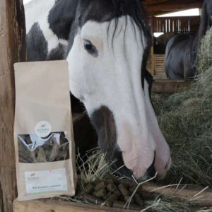 Bio Hanf Protein Leckerli