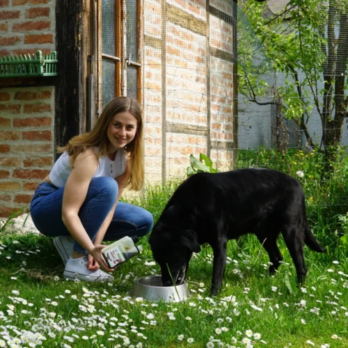 Auf dem Bild sieht man einen Hund der im Garten aus dem Fressnapf frisst mit Hanföl von Hempy