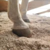 Hanfschäben für den Stall von Pferden Pferdebox Hempy