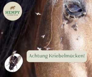 Kriebelmücken