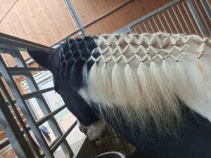 Emely aus Hanfthal