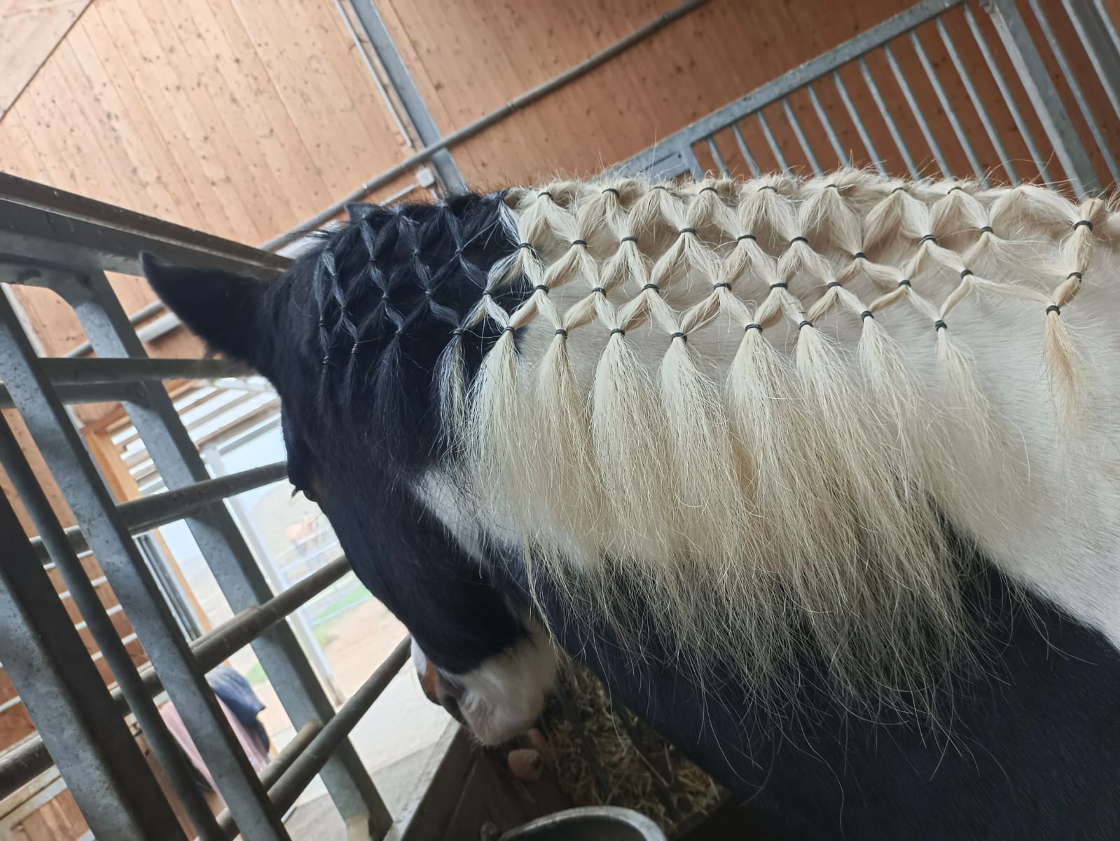 Emely aus Hanfthal