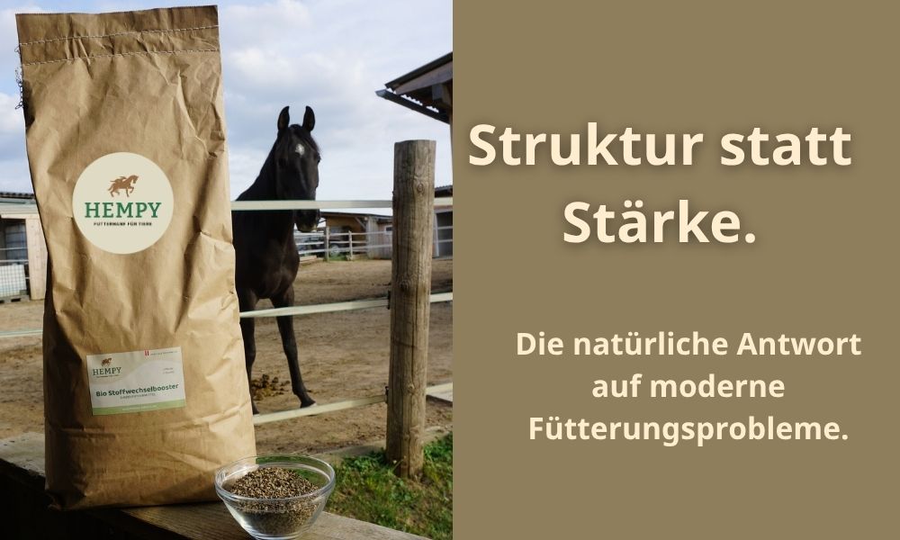 Strukturfutter für Pferde mit Hanfschalen und Flohsamen