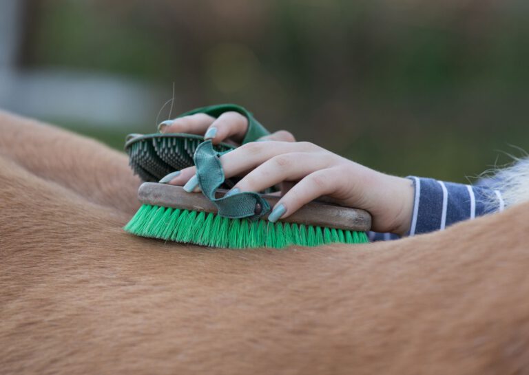 Hempy Produkte für den Fellwechsel